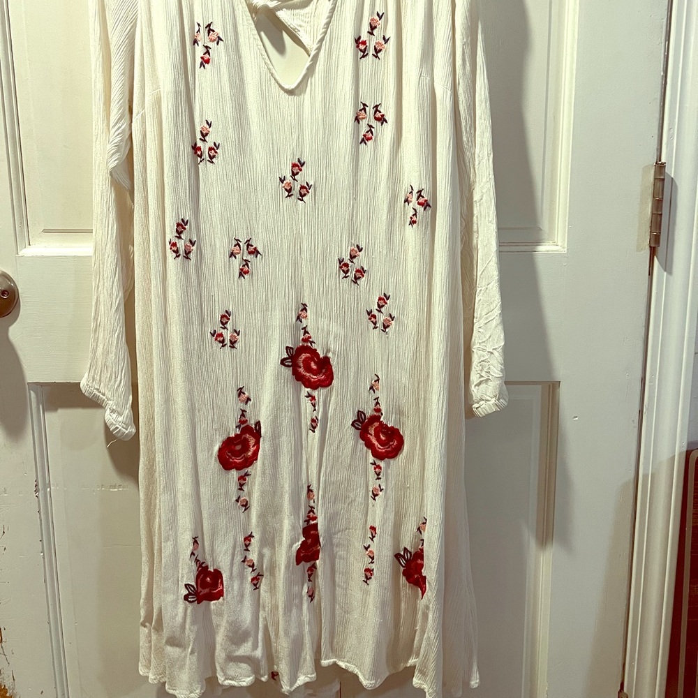 Torrid embroidered dress